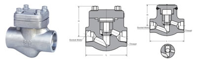 Structure Demonstrate of Socket Welded Forged Steel Check Valve
